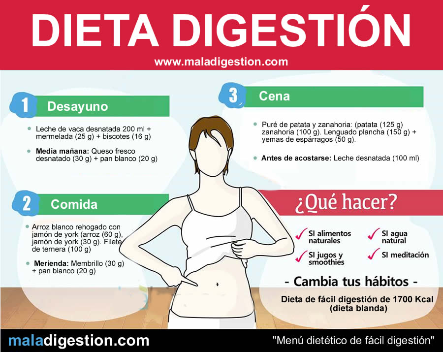 Dieta digestión: Dieta digestión fácil